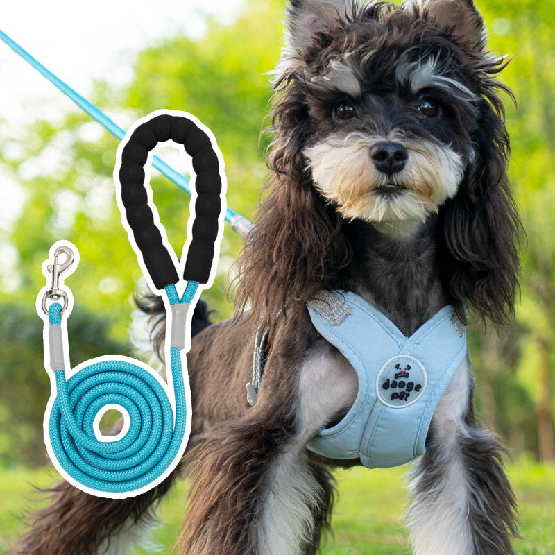 Adjustable No-Pull Dog Harness Set