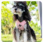 Adjustable No-Pull Dog Harness Set