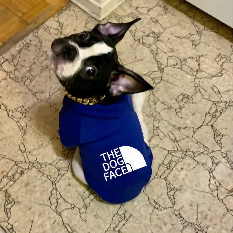 Pet Sweatshirt – Cozy Hoodie for Small & Medium Dogs STTM