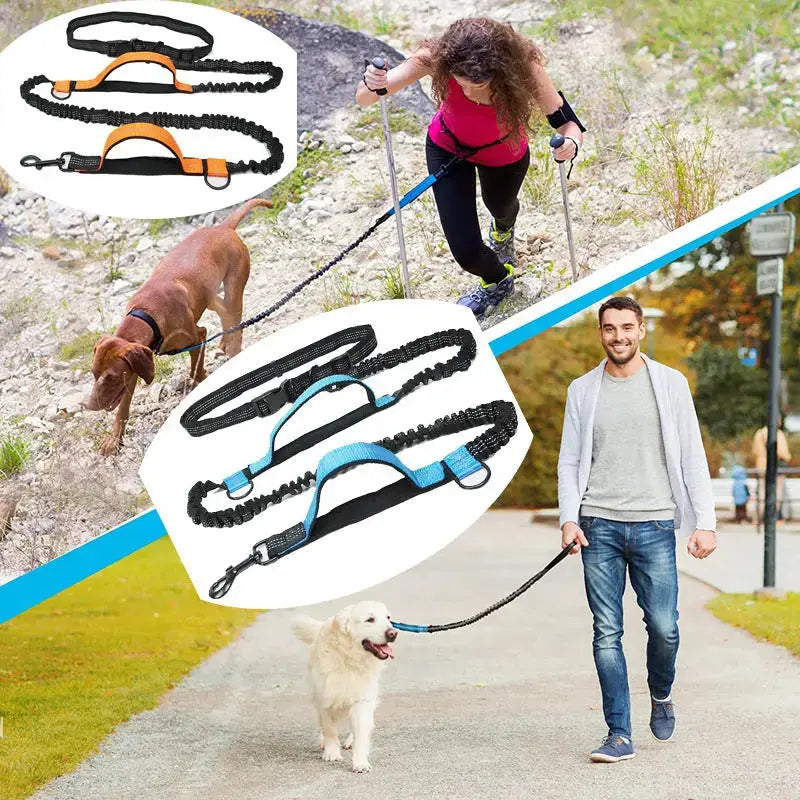Pet Retractable Belt Leash STTM