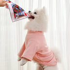Crinkle Newspaper Dog Toy