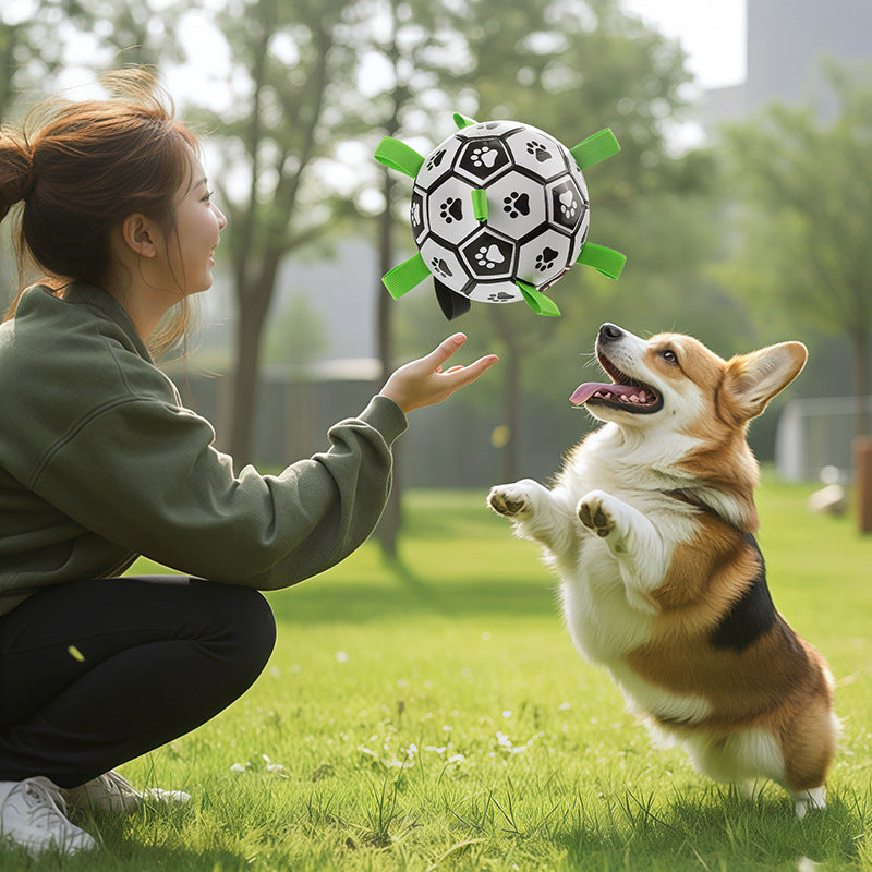 Interactive Dog Soccer Ball – Built for Active Outdoor Fun
