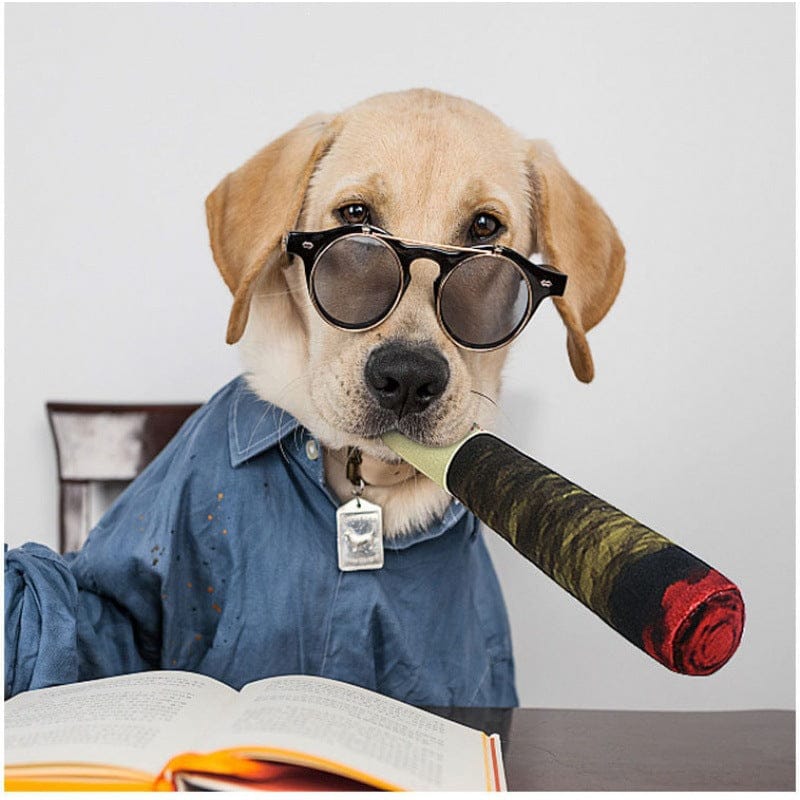 Funny Cigarette-Shaped Dog Toy
