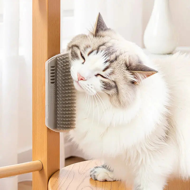 Self Grooming Pet Brush – Corner Massage Tool for Cats & Dogs STTM