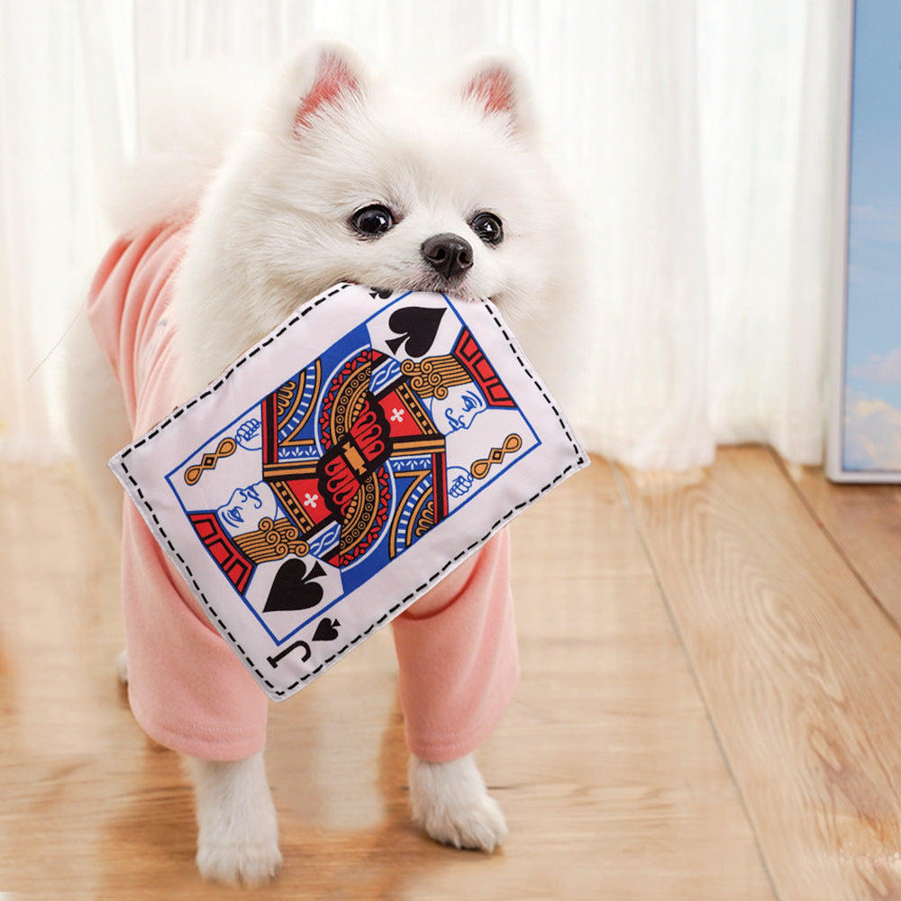 Crinkle Newspaper Dog Toy