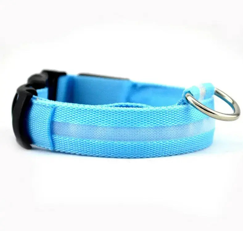Glow Dog Collar – LED Safety Collar for Night Visibility STTM