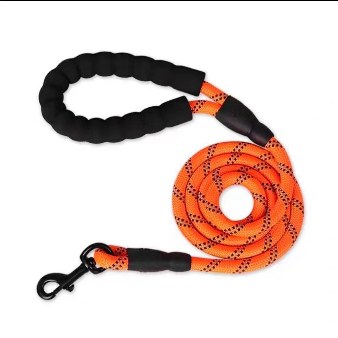 Reflective Nylon Dog Leash with Soft Padded Handle