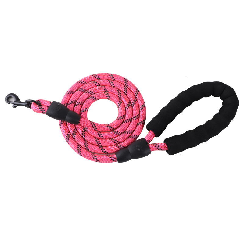 Reflective Nylon Dog Leash with Soft Padded Handle