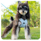 Adjustable No-Pull Dog Harness Set