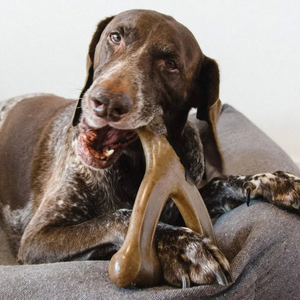 Tough Dog Toy – Durable Chew Toy for Strong Chewers STTM