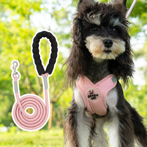 Adjustable No-Pull Dog Harness Set