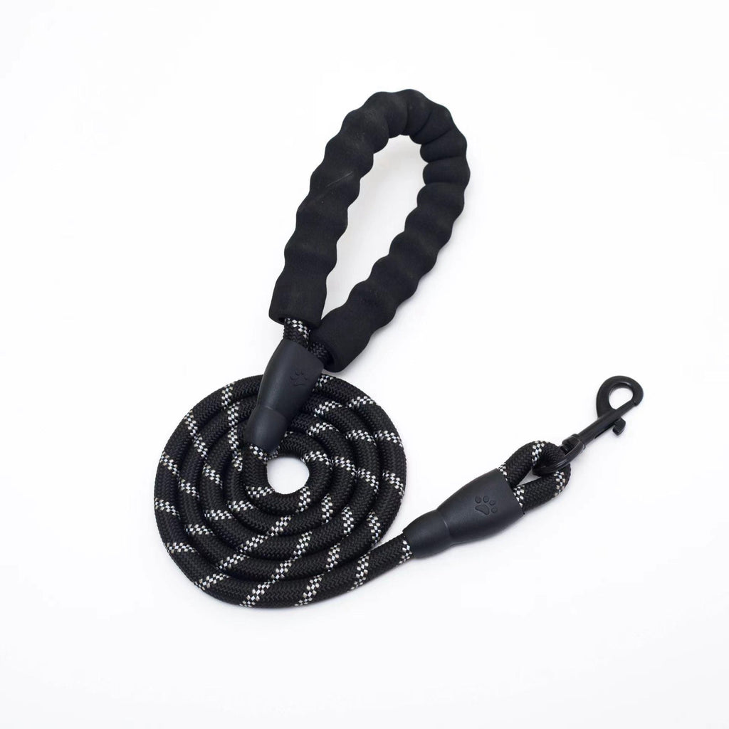 Reflective Nylon Dog Leash with Soft Padded Handle