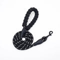 Reflective Nylon Dog Leash with Soft Padded Handle