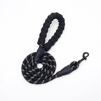 Reflective Nylon Dog Leash with Soft Padded Handle