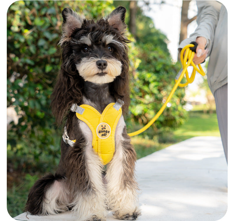 Adjustable No-Pull Dog Harness Set