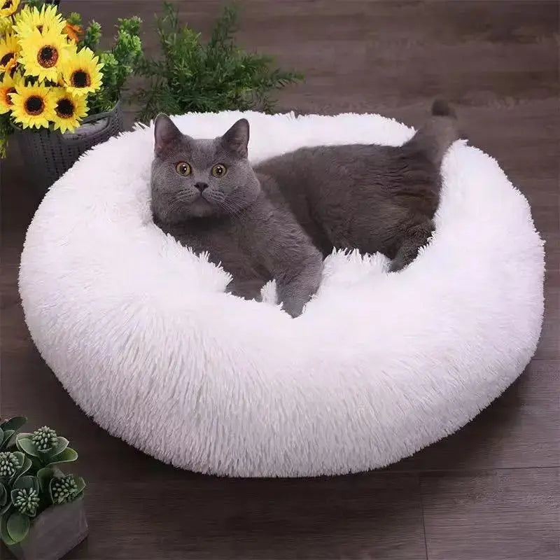 Calming Orthopedic Bed - Anxiety Relieving Dog Bed Fursera