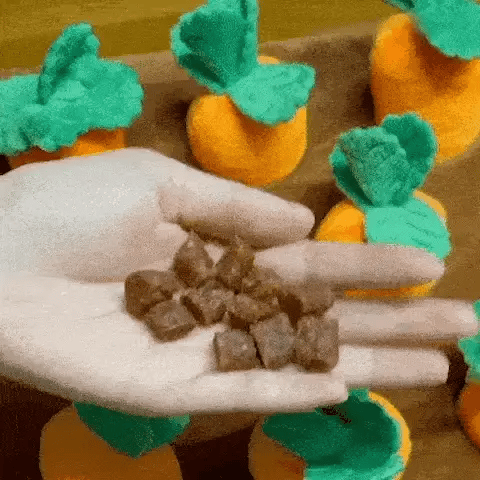 Carrot Garden Interactive Treat-Hiding Toy for Dogs Fursera