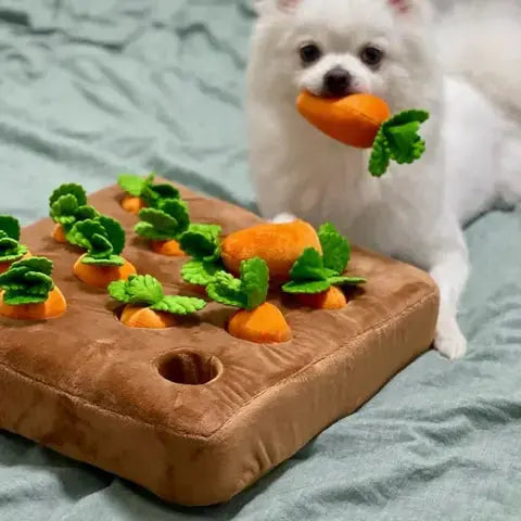 Carrot Garden Interactive Treat-Hiding Toy for Dogs Fursera