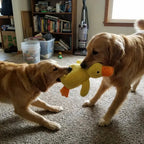Calming Duck Toy Fursera
