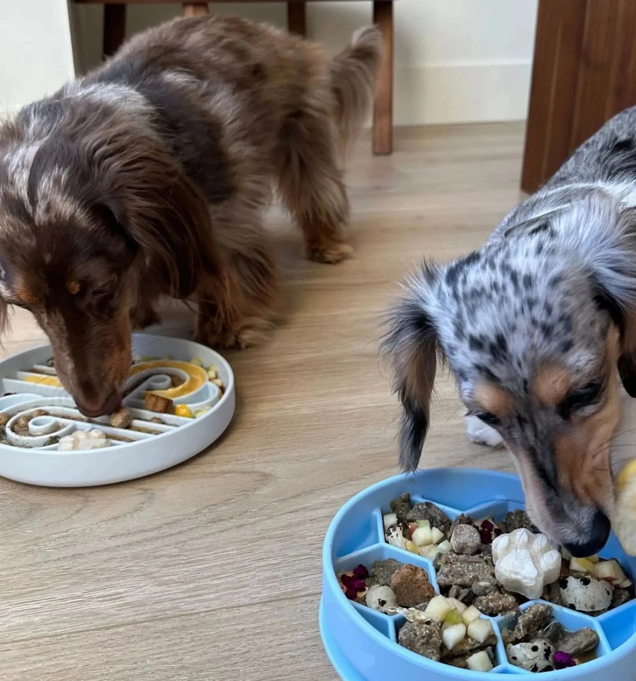 Slow Feeder Dog Bowl – Anti-Choke Feeding Bowl Fursera