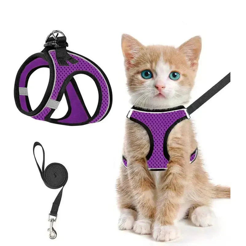 Breathable Adjustable Pet Harness &amp; Leash Set