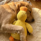 Calming Duck Toy Fursera