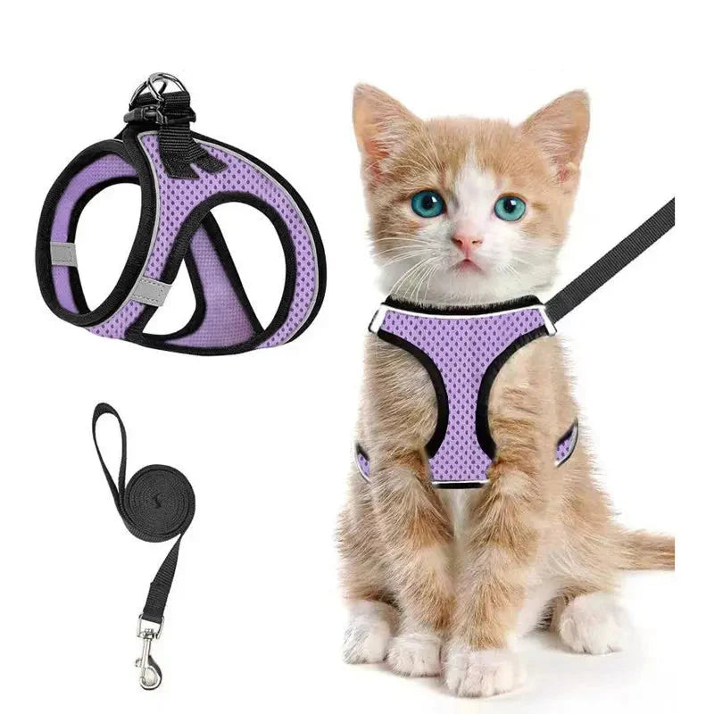 Breathable Adjustable Pet Harness &amp; Leash Set