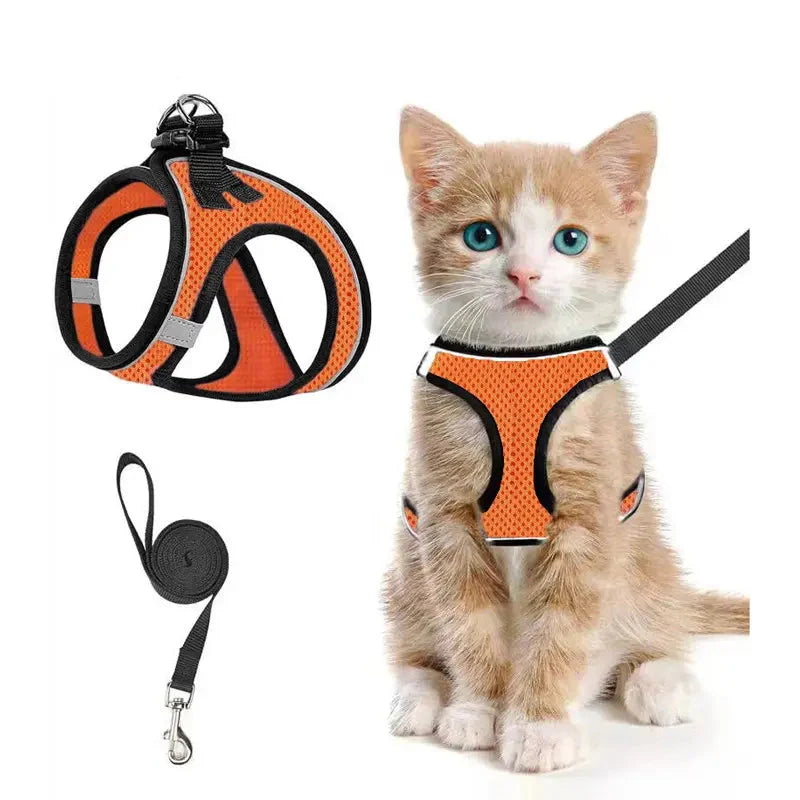 Breathable Adjustable Pet Harness &amp; Leash Set