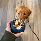 Frozen Fillable Dog Chew Toy