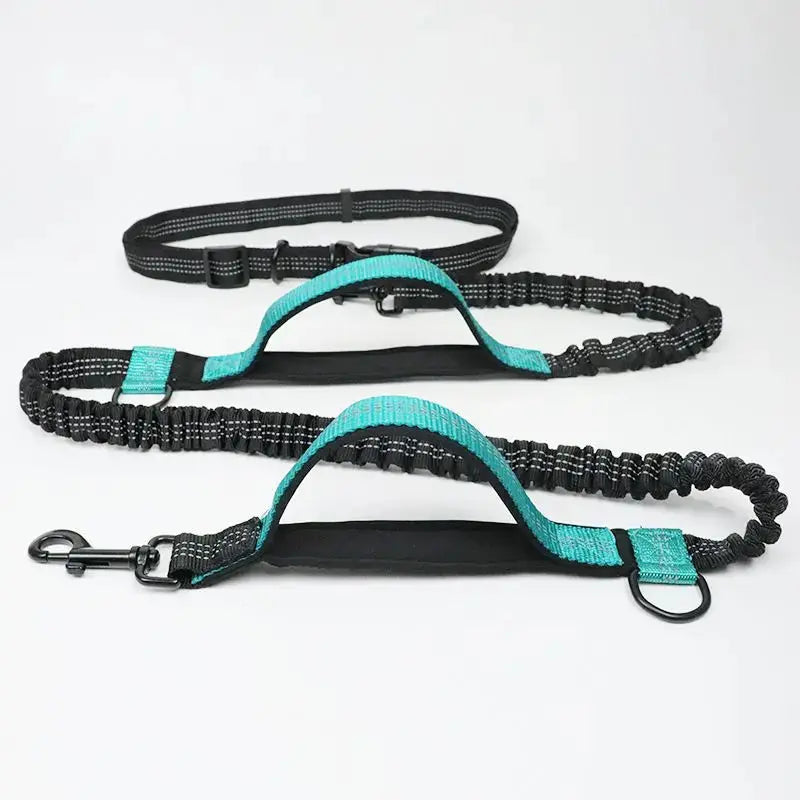 Pet Retractable Belt Leash STTM