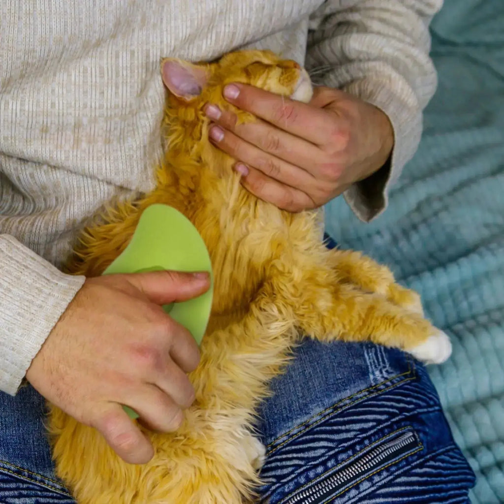 Pet Steam Brush – USB Rechargeable Grooming & Cleaning Tool STTM