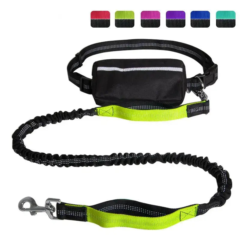 Hands-Free Leash – Bungee Dog Leash with Storage Pouch & Soft Handles STTM