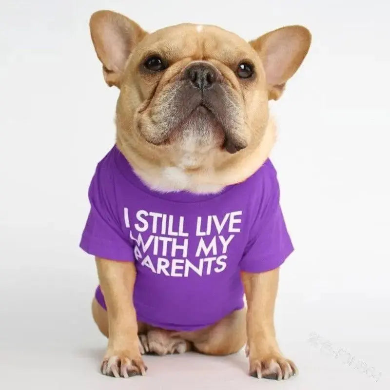 Pet T-Shirt – Soft Dog Shirt for Small & Medium Dogs STTM