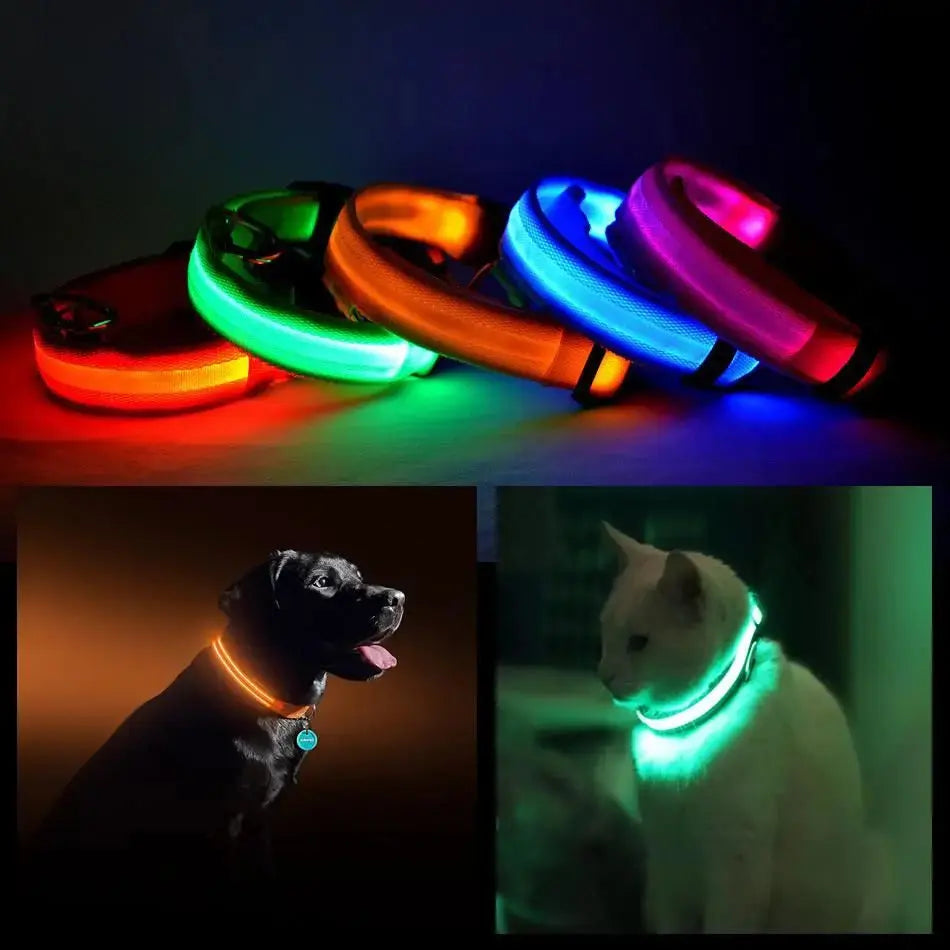 Glow Dog Collar – LED Safety Collar for Night Visibility STTM