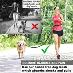 Pet Retractable Belt Leash