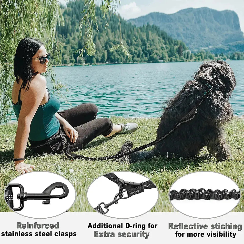 Pet Retractable Belt Leash STTM