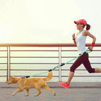 Dual Dog Leash – No-Tangle Reflective Leash with Padded Handle STTM