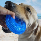 2 Pack Dog Toys – Bite-Resistant Squeaky Chew Balls STTM
