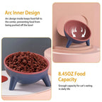 Raised Pet Bowl – Tilted Feeding Bowl for Cats & Small Dogs STTM