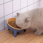 Raised Pet Bowl – Tilted Feeding Bowl for Cats & Small Dogs STTM