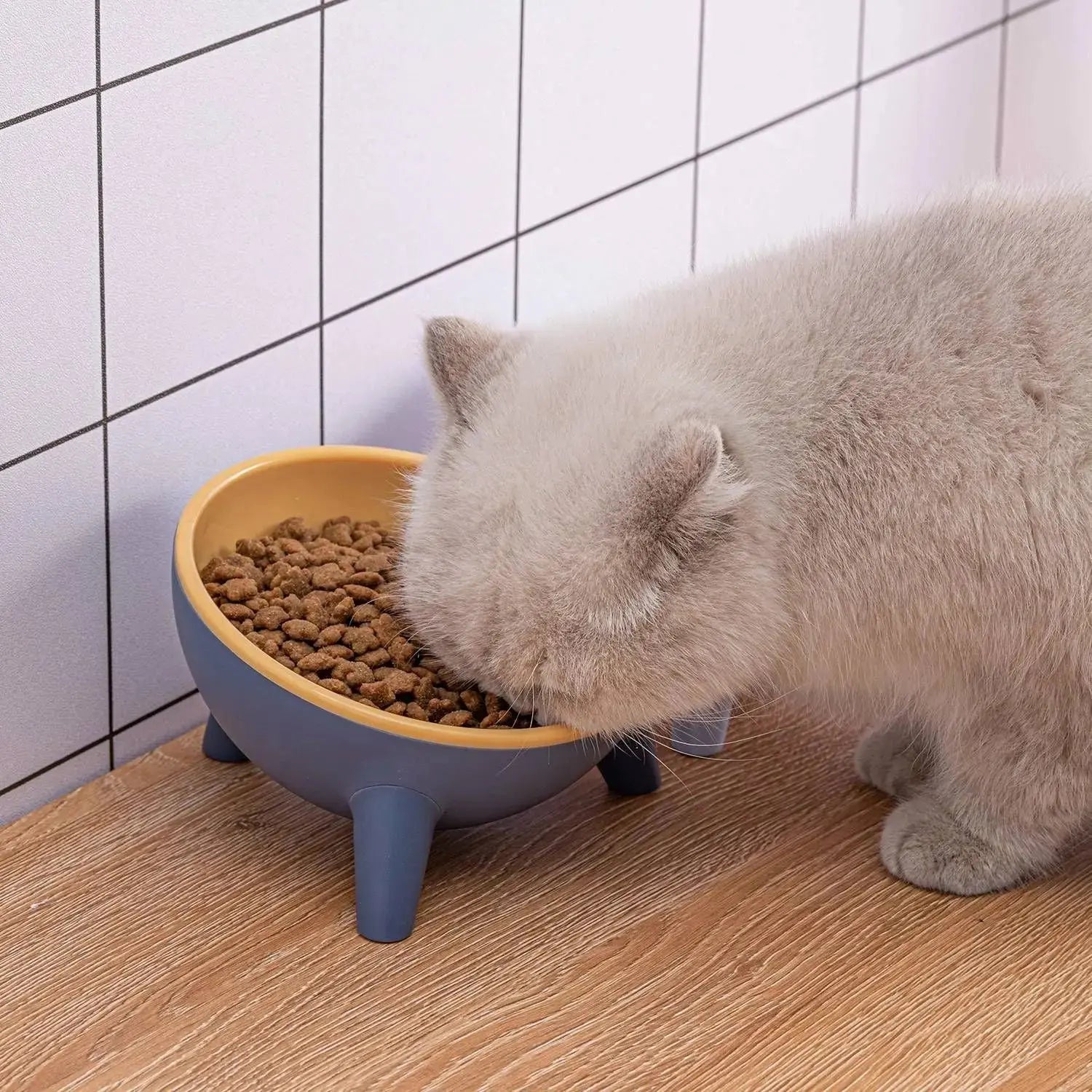 Raised Pet Bowl – Tilted Feeding Bowl for Cats & Small Dogs STTM