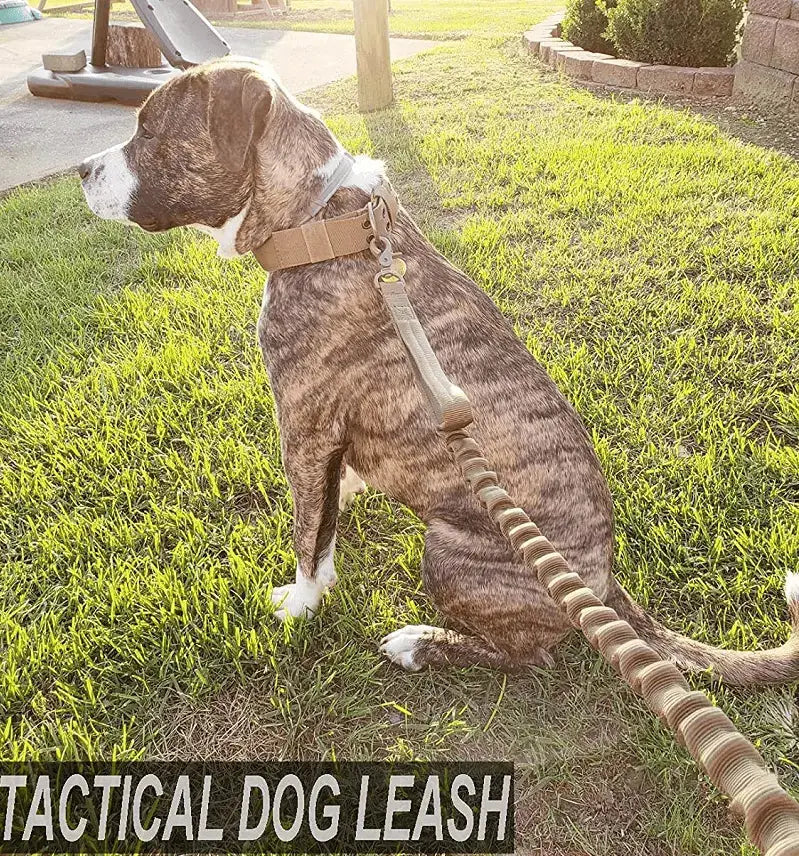 Tactical K9 Leash – Heavy Duty Adjustable Bungee STTM