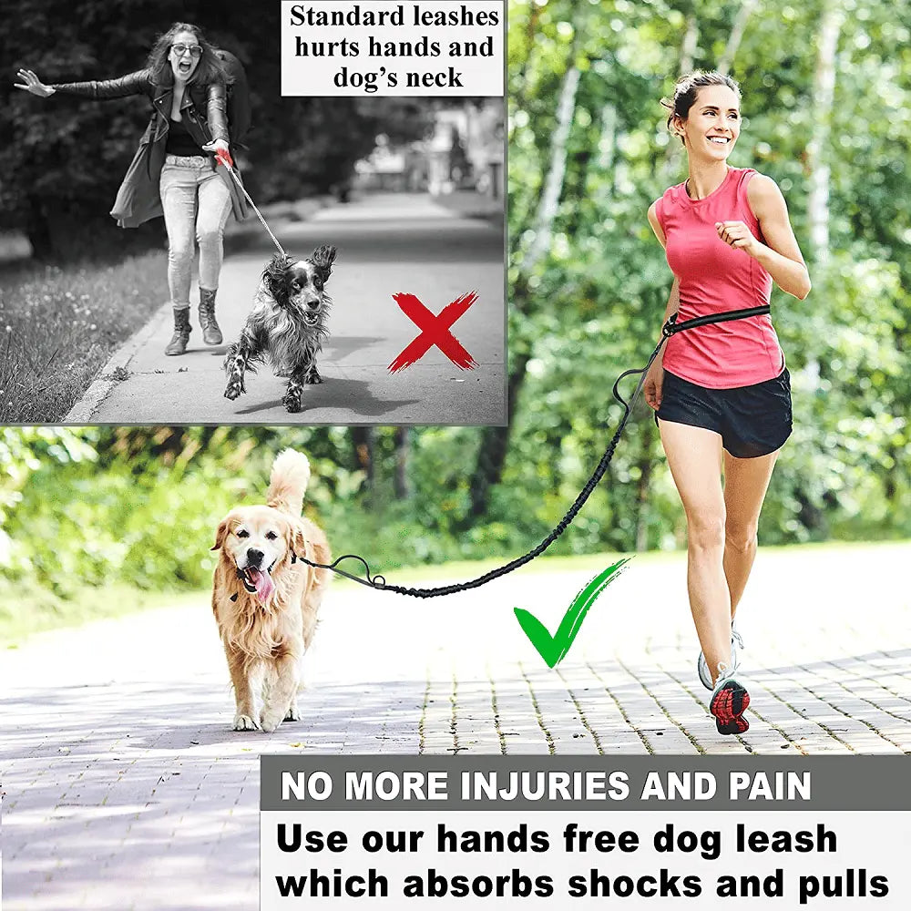 Pet Retractable Belt Leash