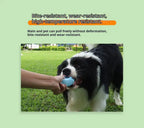 Corn Dog Chew Toy – Silicone Teething & Dental Toy STTM