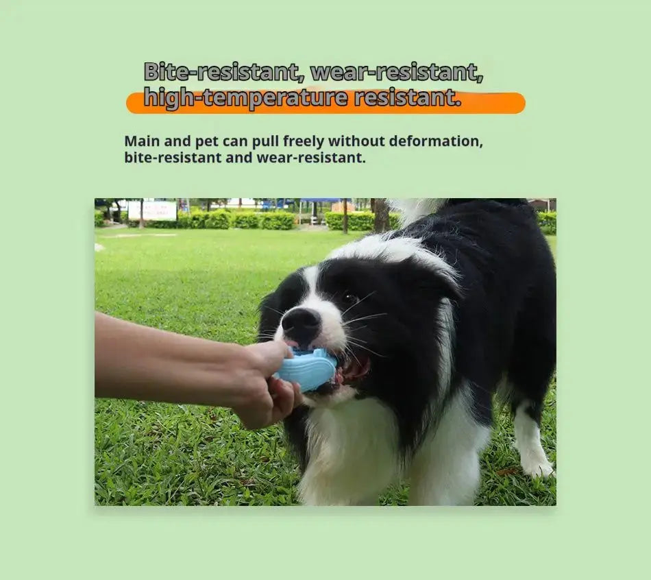 Corn Dog Chew Toy – Silicone Teething & Dental Toy STTM