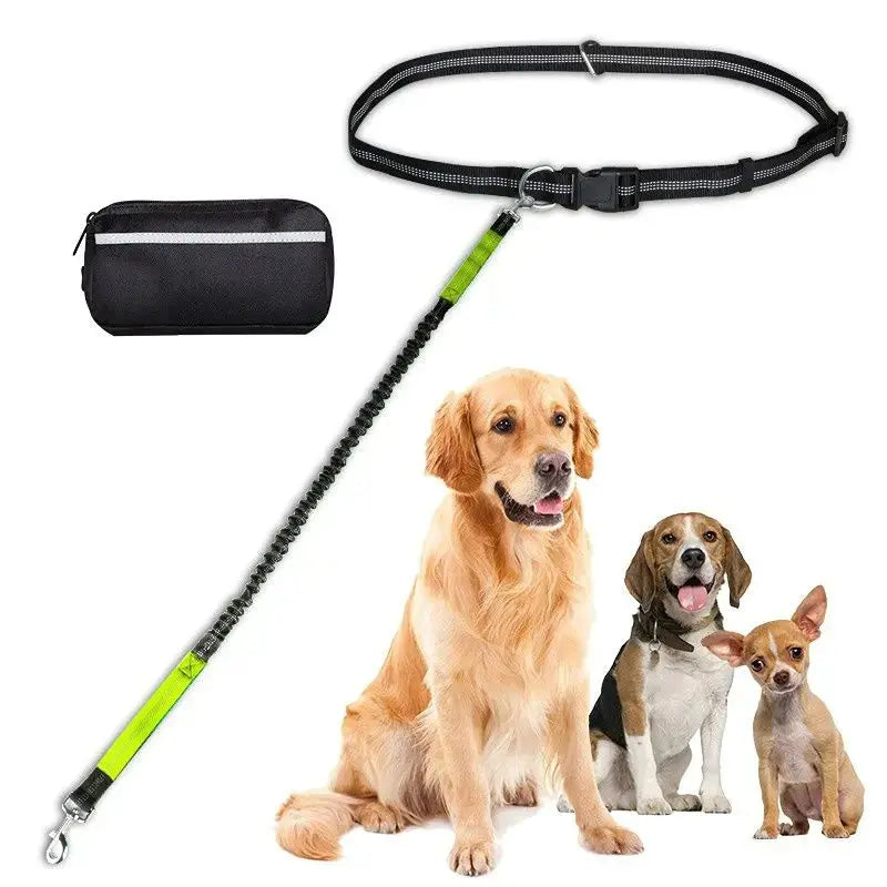 Hands-Free Leash – Bungee Dog Leash with Storage Pouch & Soft Handles STTM