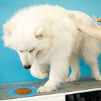 2PCS Lick Mats – Suction Slow Feeder for Dogs & Cats STTM