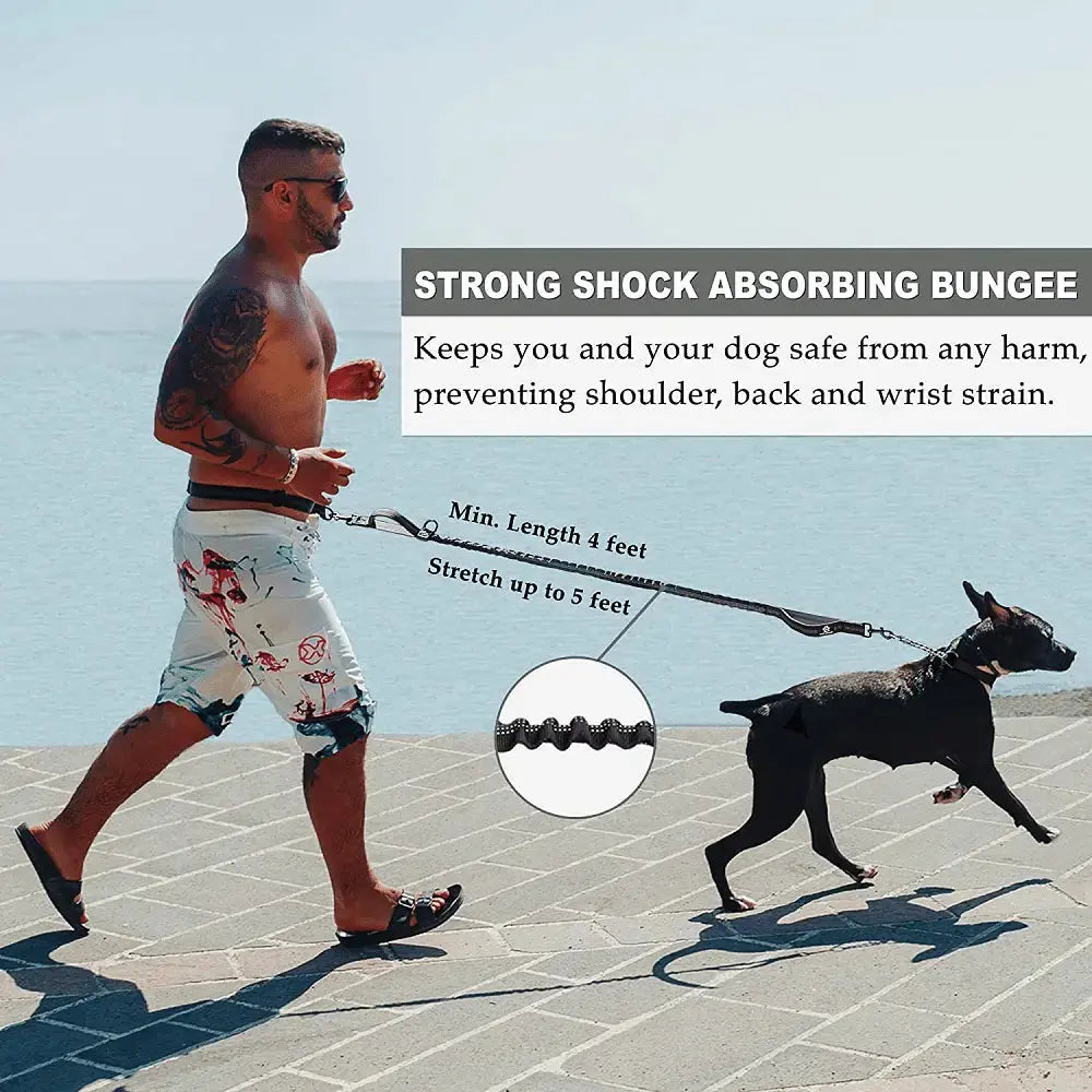 Pet Retractable Belt Leash STTM