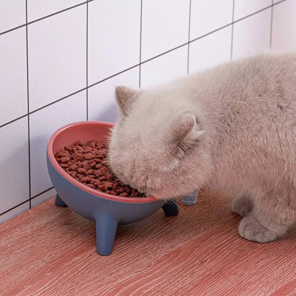 Raised Pet Bowl – Tilted Feeding Bowl for Cats & Small Dogs STTM