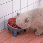 Raised Pet Bowl – Tilted Feeding Bowl for Cats & Small Dogs STTM